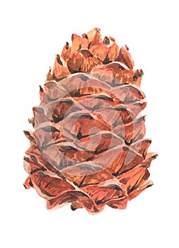 ÃÂ¡one isolated on a white background